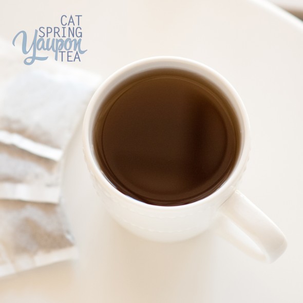 yaupon-tea-black-cat-spring-tea-two-cups-in-mug