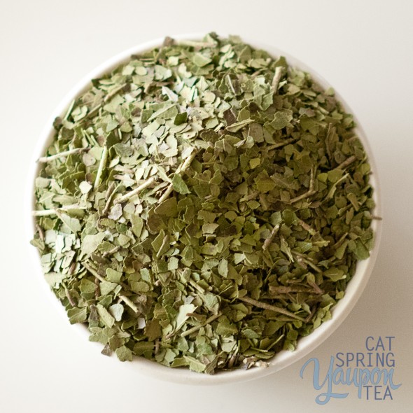 yaupon-tea-green-cat-spring-tea-loose-leaf