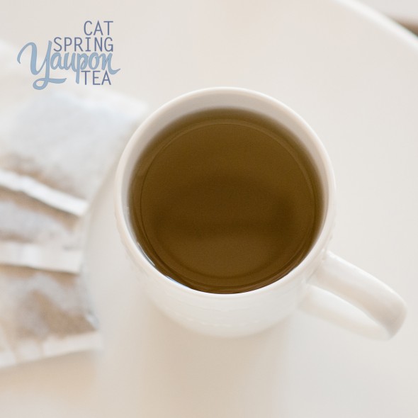 yaupon-tea-green-cat-spring-tea-two-cups-water-mug